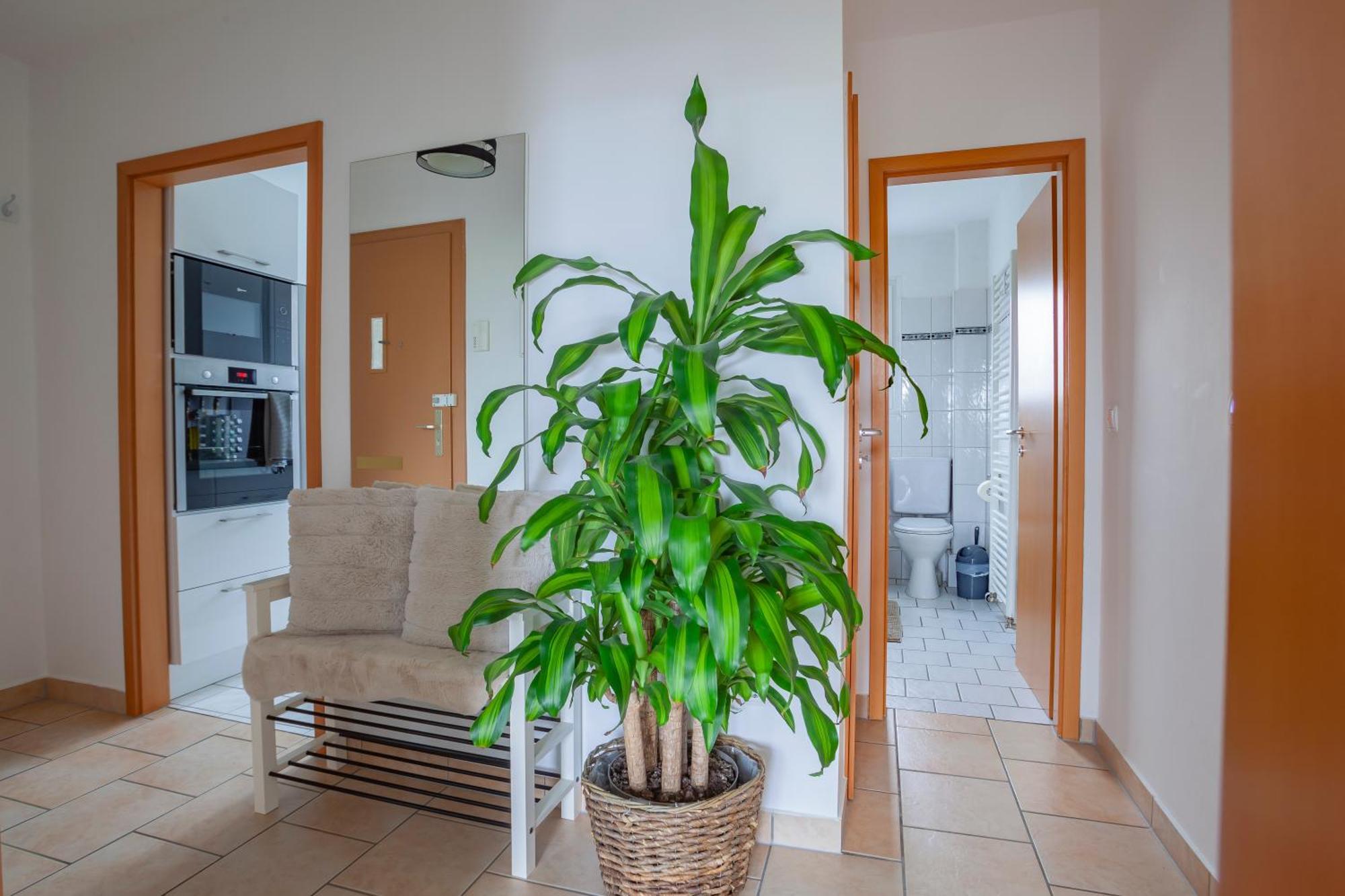Exclusive 2-Room-City-Apartment - Contactless Check-In 하노버 외부 사진